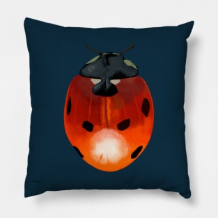 Ladybird Beetle Design Pillow