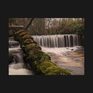 Cascading Tranquility T-Shirt