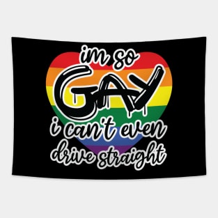 i'm so gay i can't even drive straight Tapestry