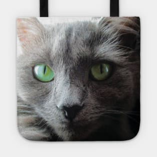 Stunning green eyed grey cat Tote