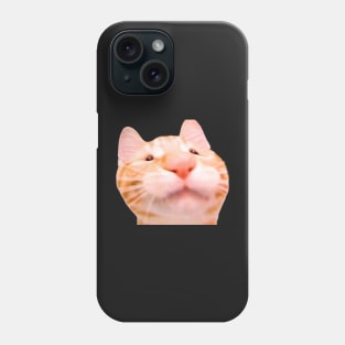 funny meh cat Phone Case