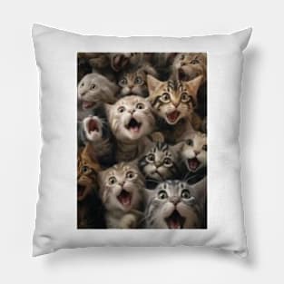 Funny Cat Faces Pillow