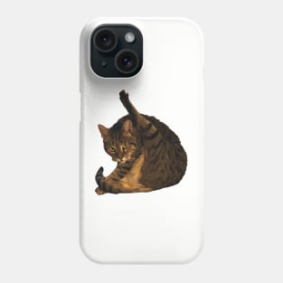 tabby cat funny meme cleaning his butt Phone Case