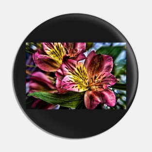 Alstroemeria Peruvian Lily flowers Pin