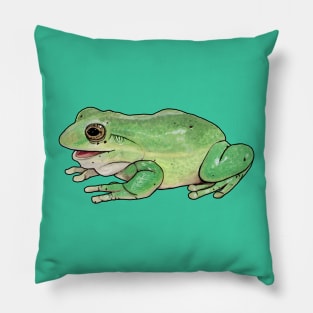 Tree Frog Pillow