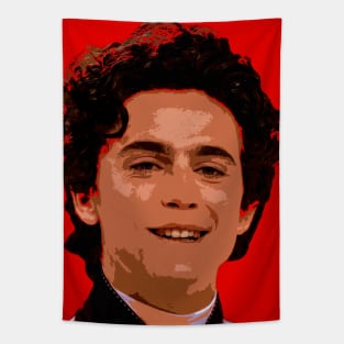 timothee chalamet Tapestry