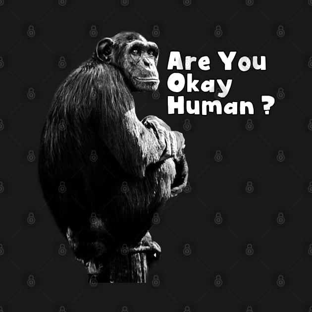 Monkey : Are You okay human by Egit