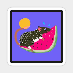 Summertime Rat on a Watermelon Slice! Magnet