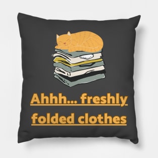 Ahhh... Freshly folded clothes Pillow