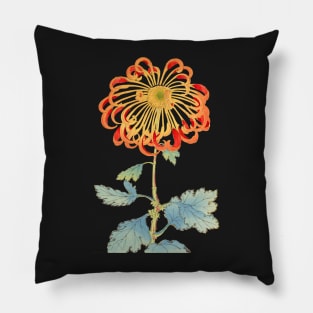 Red and Gold Chrysanthemum 2 - Hasegawa - Traditional Japanese style - Botanical Illustration Pillow