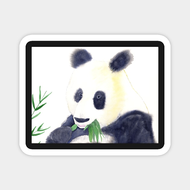 Panda Bear eating Bamboo Watercolor Painting Magnet by Sandraartist