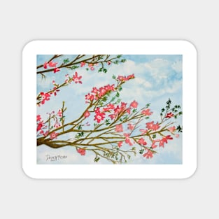 silk floss tree flowers art print Magnet