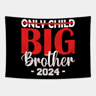 only child big brother 2024 Tapestry