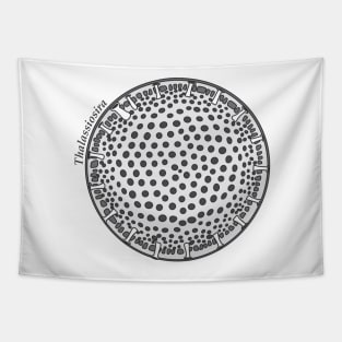 Diatom - Thalassiosira (scientific) Tapestry