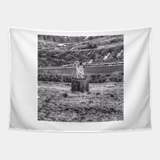 Only In Montana - Black And White Tapestry