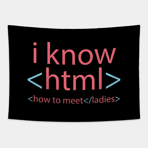 I Know HTML (How to Meet Ladies) Tapestry by andantino