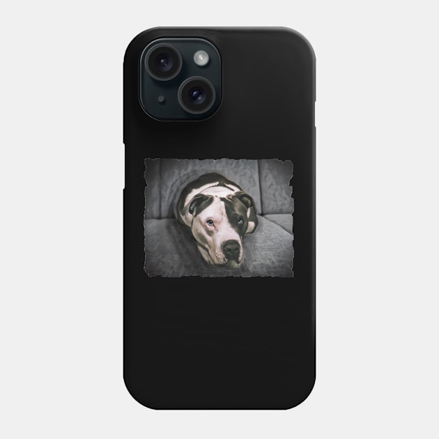 Loveable Pit Bull With Blue Eyes Phone Case by PhotoArts