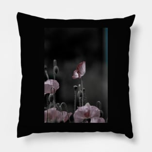 Poppies Pillow