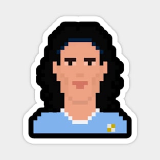 Cavani 8bit Magnet