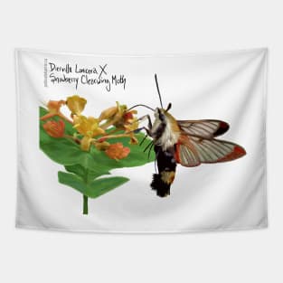 Snowberry Clearwing X Diervilla Lonicera Tapestry