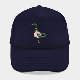 Mallard Duck Hat