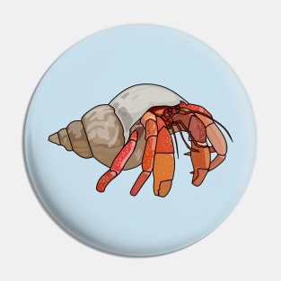 Hermit crab cartoon illustration Pin