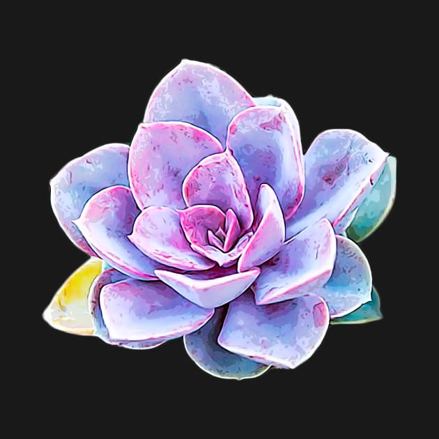 Succulent - Pastel Beauty by Elarex