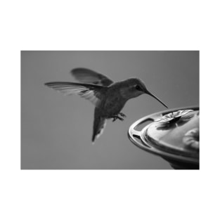 Hummingbird at Feeder Black and White 2 or 3 T-Shirt