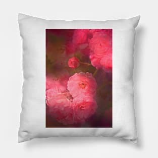 Rose 217 Pillow