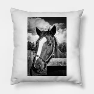 Horse Portrait Pillow