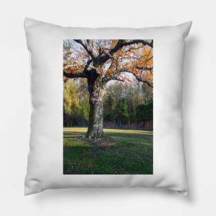 Autumn Trunk Pillow