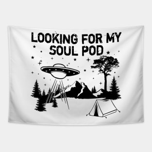 Looking for my Soul Pod Tapestry