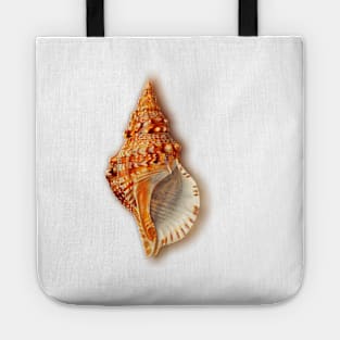 Conch Tote