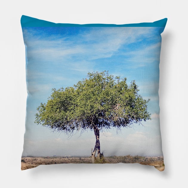 Africa Tree in Landscape Pillow by ellenhenryart