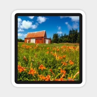 Old Barn in Cape Breton #2 Magnet