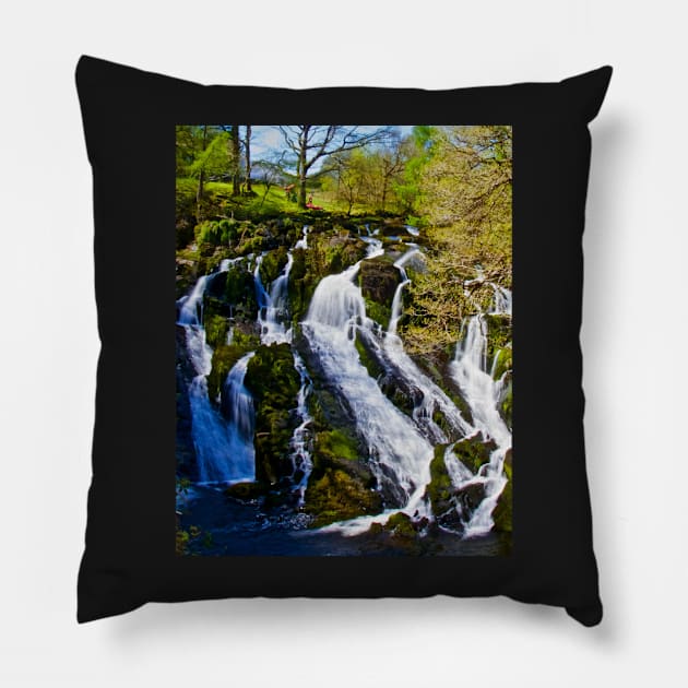 SWALLOW BEFORE YOU CANOE THE FALLS Pillow by dumbodancer