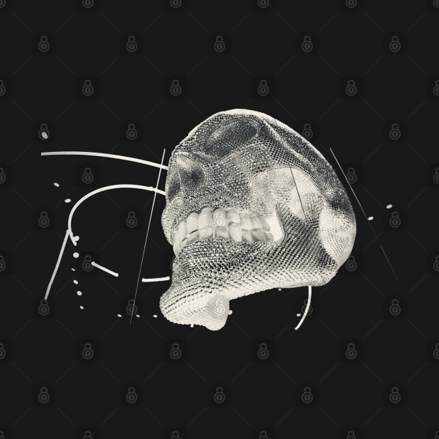 Skull / Swiss Artwork Photography by RaphaelWolf