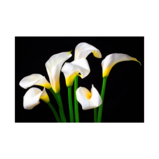 Lovely White Calla Lilies T-Shirt