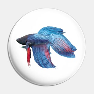 halfmoon bettafish Pin