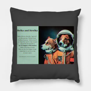 Belka and Strelka, day in space, dogs astronauts. Pillow