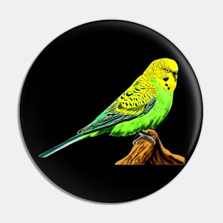 Vivid Voices: Budgies Bring Colorful Melodies to Graphic Tee Pin