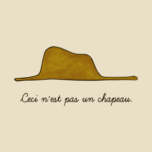 Un chapeau T-Shirt