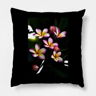 plumeria-flowers-frangipani-floral-blossom-multi-colors-shirtyshirto-87 Pillow