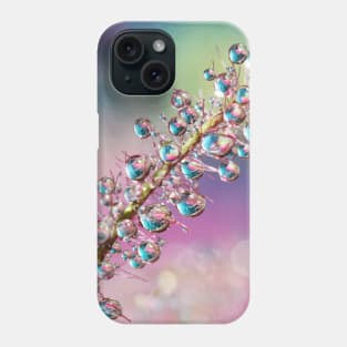 Rainbow Smoke Bush Drops Phone Case