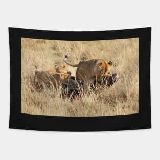 Female Lion with Cubs, Moving the Kill, Maasai Mara, Kenya Tapestry