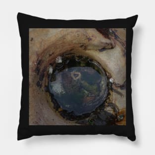 Rock Pool with Sea Anemone Pillow