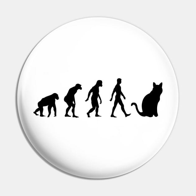 HUMAN CAT EVOLUTION Pin by MoreThanThat