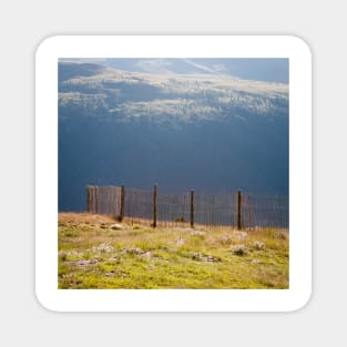 Fence on the Mountain Magnet