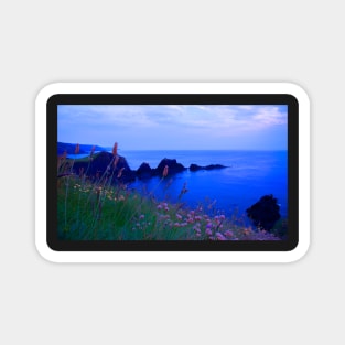 Hartland Headland Magnet