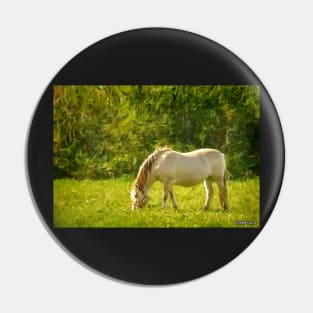 Horse Grazing Pin